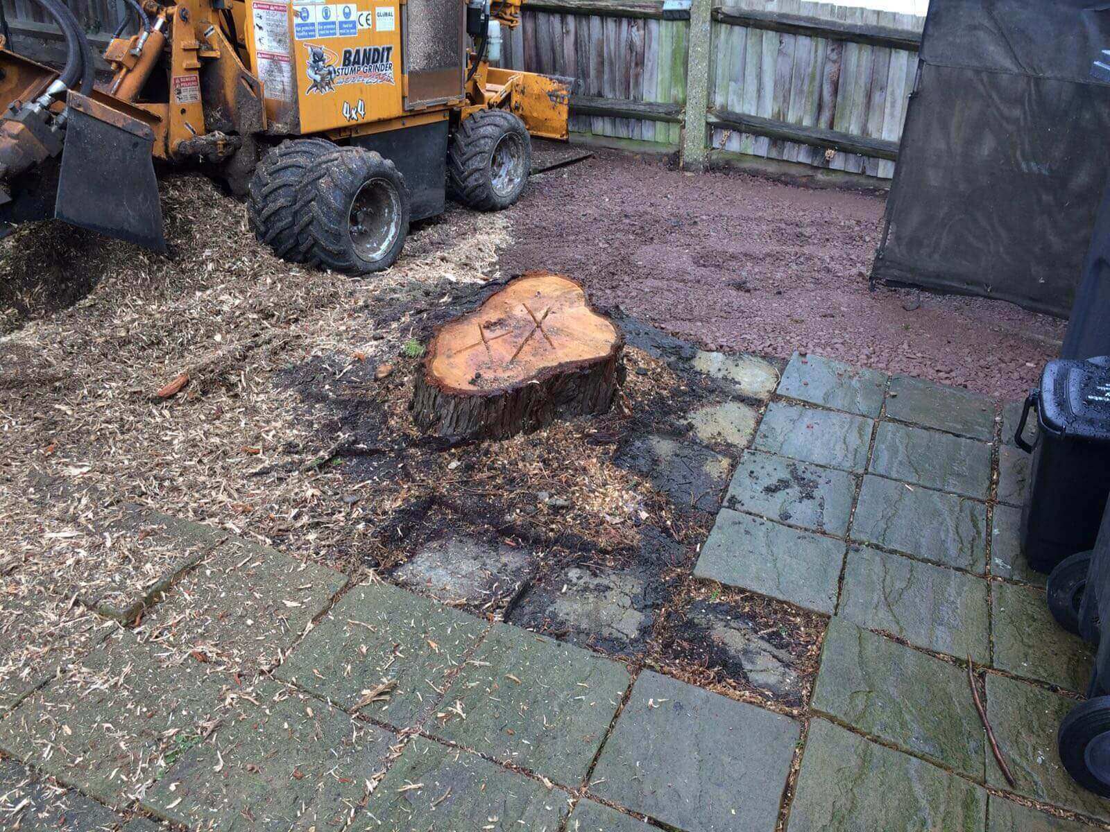 Tree Surgeons Plumstead SE18